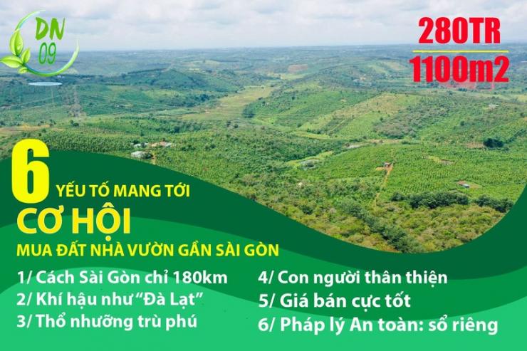Giá bán hấp dẫn